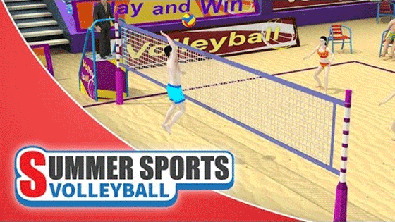Summer Sports: Volleyball Banner